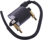 Ignition Coil: Kawasaki VN900 VN 900 (2006-2016)