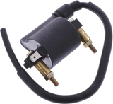Ignition Coil: Kawasaki VN900 VN 900 (2006-2016)