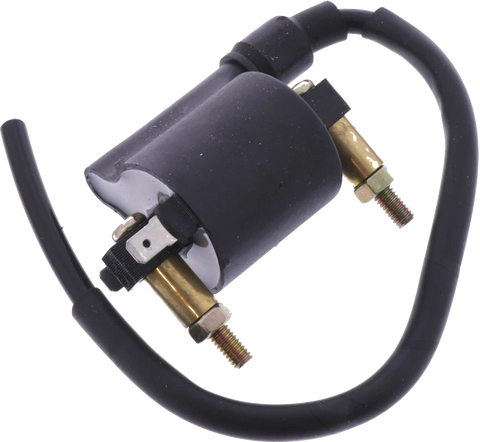 Ignition Coil: Kawasaki VN900 VN 900 (2006-2016)