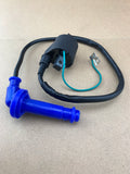 Ignition Coil: Honda ANF125 ANF 125 (2003-2006)