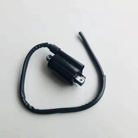 Ignition Coil: Suzuki TU125 TU 125 (1999)