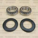 Headstock Bearings & Seals: BMW F650 F 650 (1999-2007)