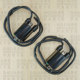 Ignition Coil x2 Honda CBF600 CBF 600 (2004-2010)